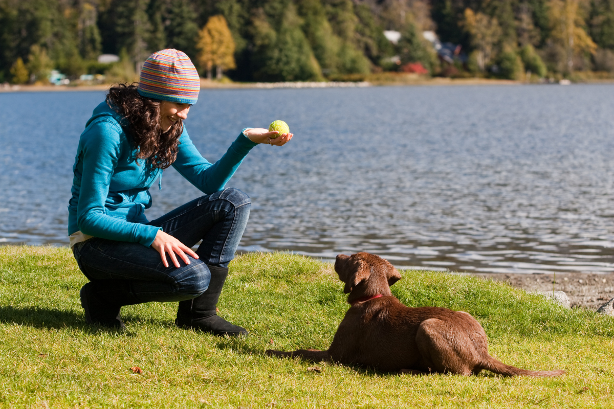 Training Your New Puppy: A Fun Adventure with Tail-Wagging Results!